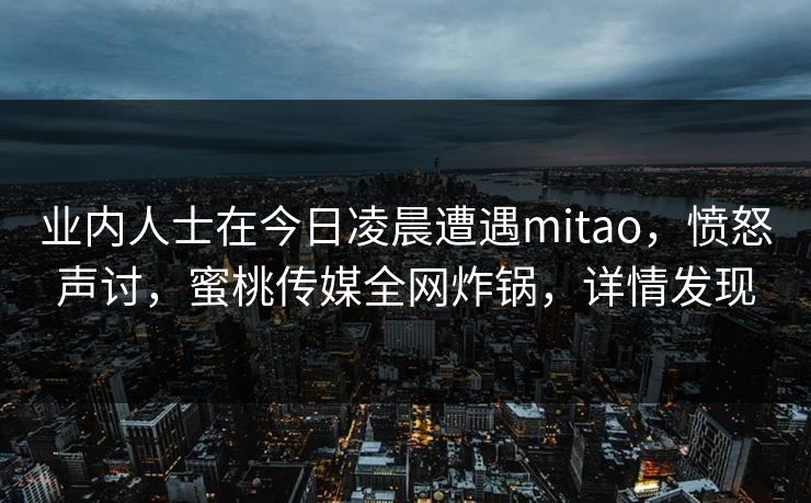 业内人士在今日凌晨遭遇mitao，愤怒声讨，蜜桃传媒全网炸锅，详情发现