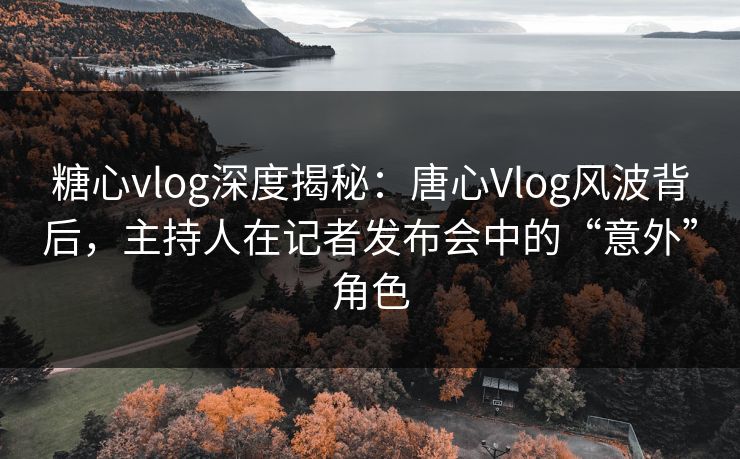 糖心vlog深度揭秘：唐心Vlog风波背后，主持人在记者发布会中的“意外”角色