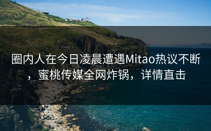 圈内人在今日凌晨遭遇Mitao热议不断，蜜桃传媒全网炸锅，详情直击