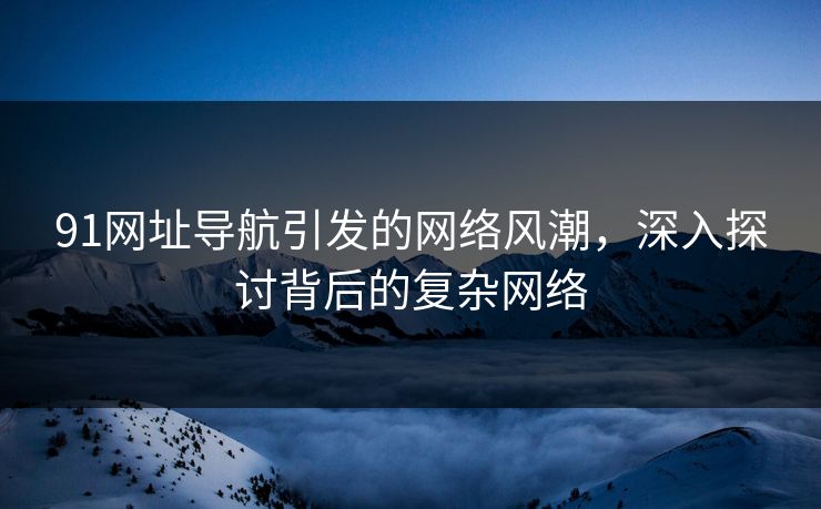 91网址导航引发的网络风潮，深入探讨背后的复杂网络